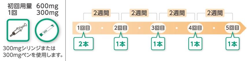 成人の方の投与スケジュール